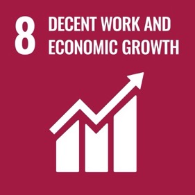 SDG 8 icon
