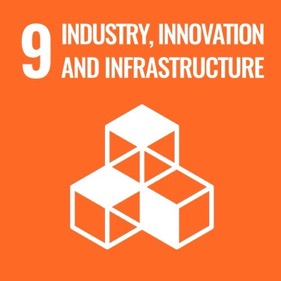 SDG 9 icon